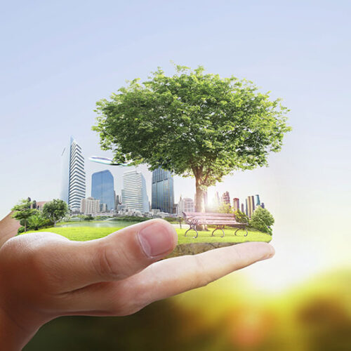 Help Build an Innovative Green Building Encyclopedia